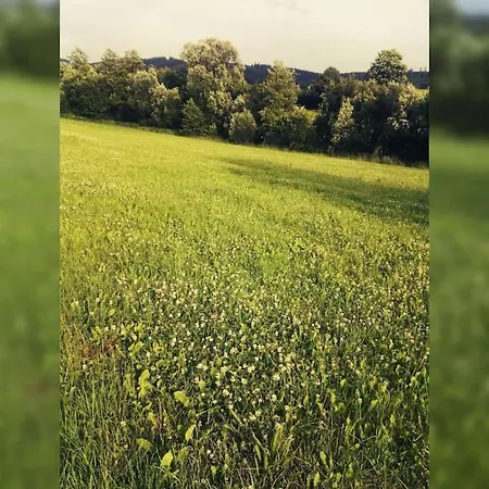 Gemuetliche Rothaarsteig Sauna Ruhrtal Hill 施马伦贝格