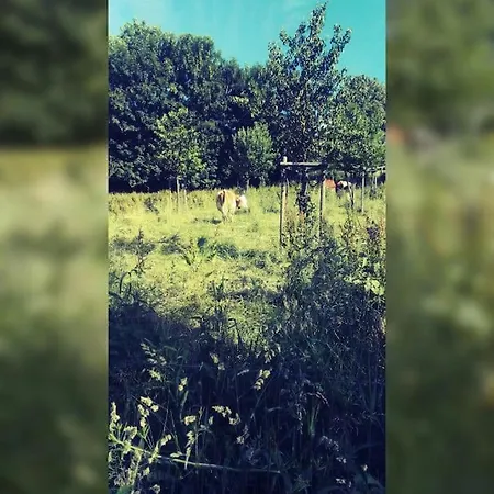 Gemuetliche Rothaarsteig Sauna Ruhrtal Hill 公寓 施马伦贝格