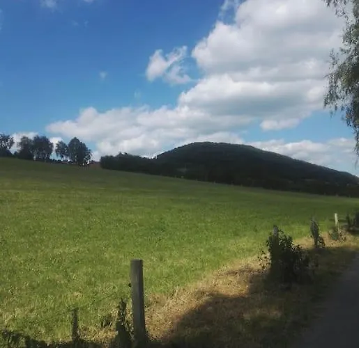 Gemuetliche Rothaarsteig Sauna Ruhrtal Hill Appartement