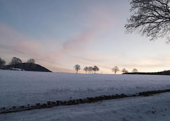 Gemuetliche Rothaarsteig Sauna Ruhrtal Hill Appartement Schmallenberg